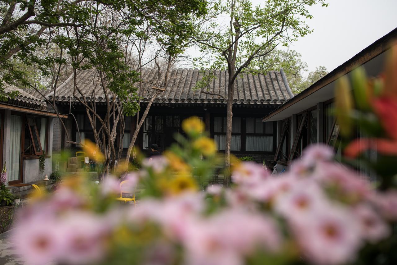 Courtyard Guesthouse, ปักกิ่ง ภายนอก รูปภาพ