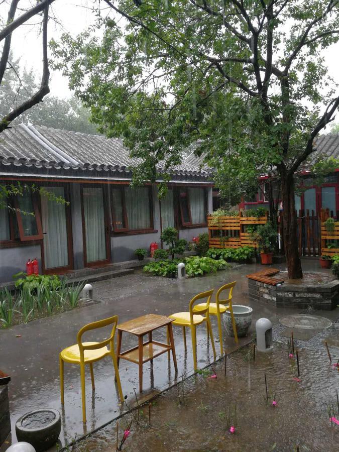 Courtyard Guesthouse, ปักกิ่ง ภายนอก รูปภาพ